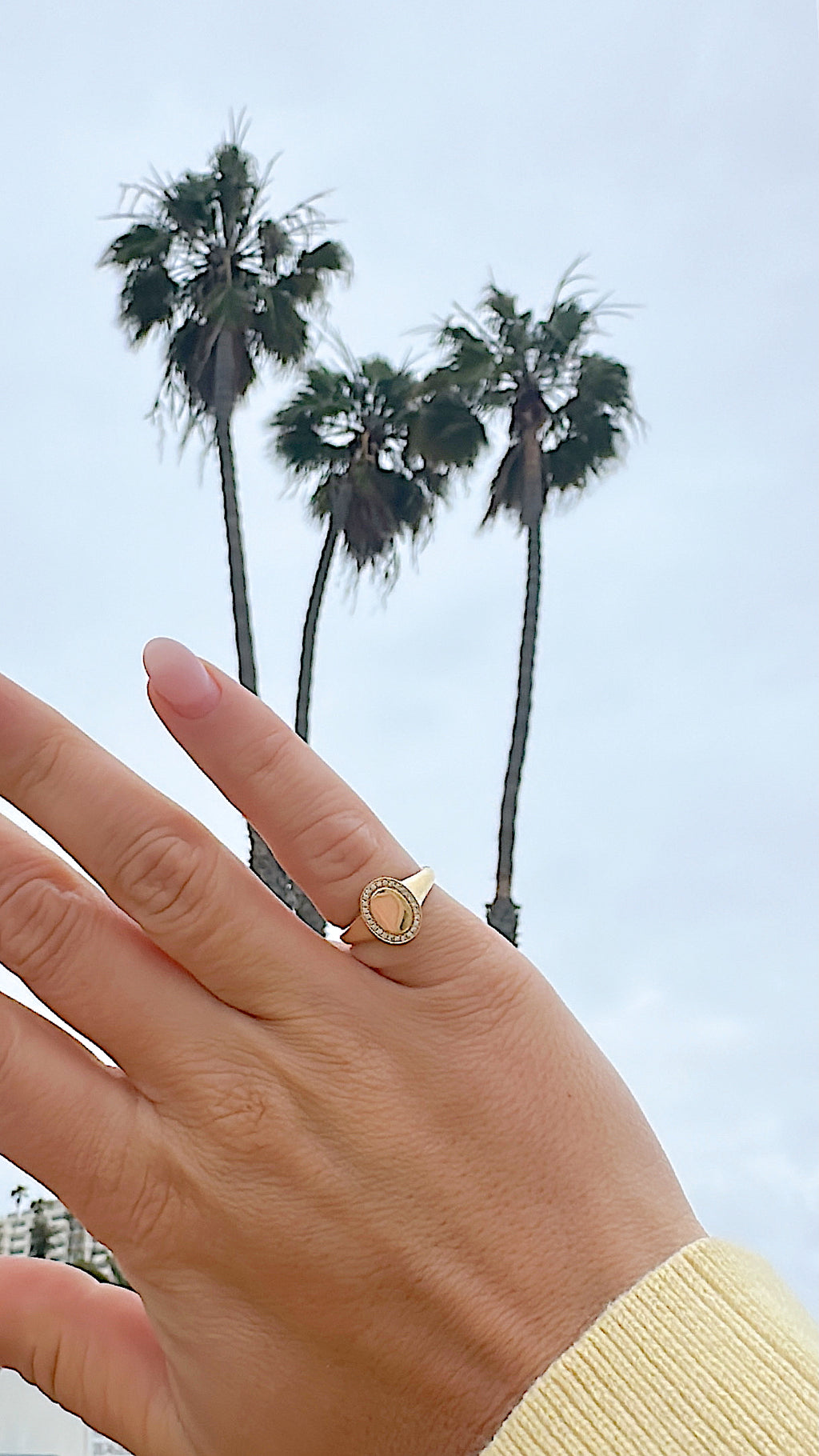 Sovereign Signet Ring