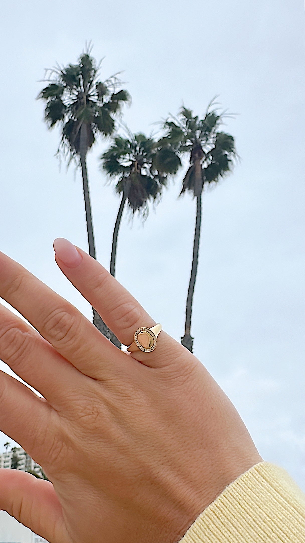 Sovereign Signet Ring